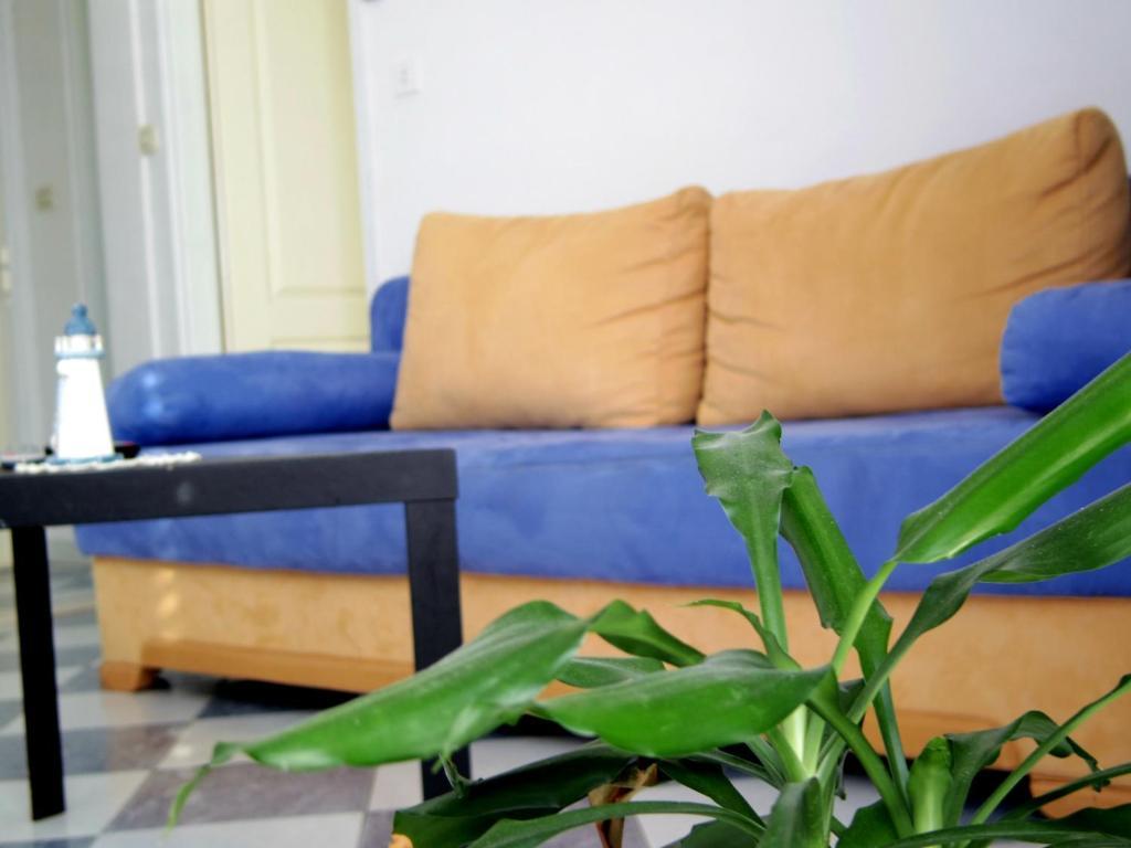 Apartments Capitano Blue Zaton  Habitación foto